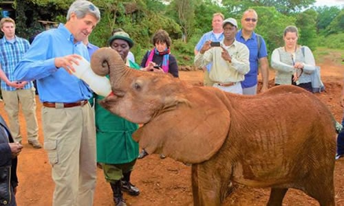 david sheldrick elephants nairobi trips