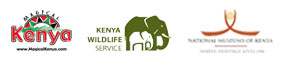 tours and safaris partners partners
